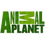 animal-planet